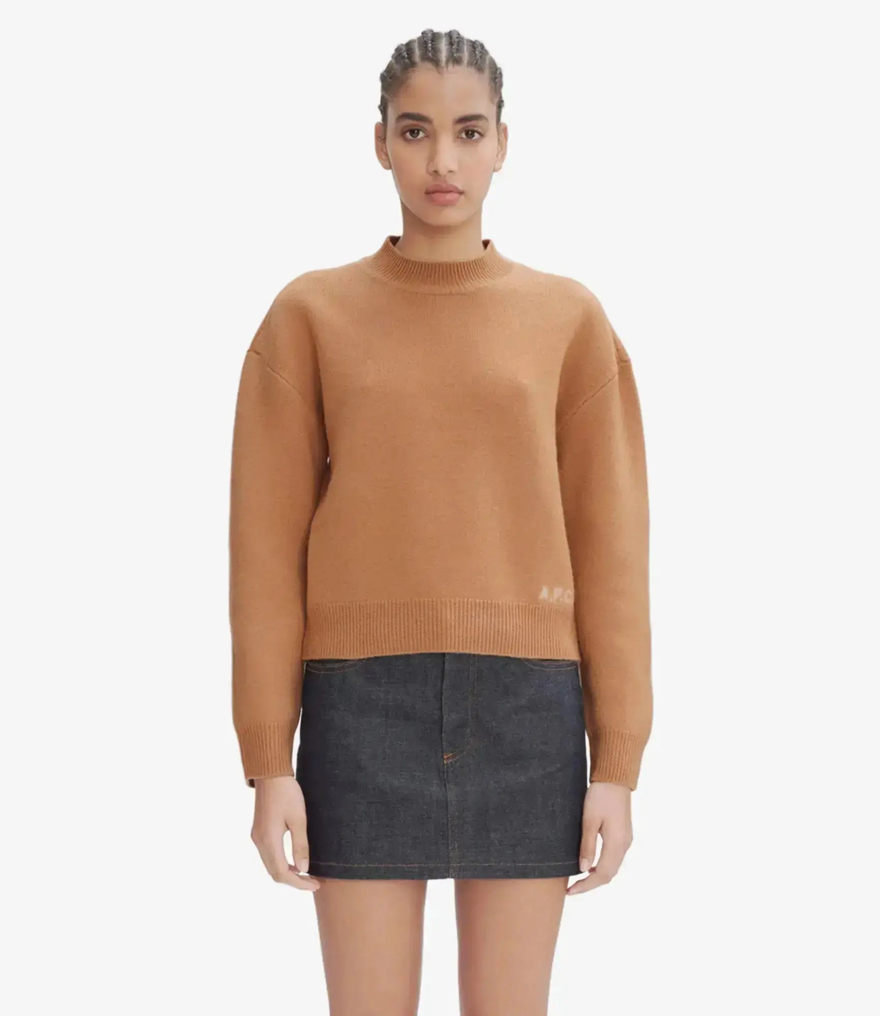 APC - Pull col rond beige APC