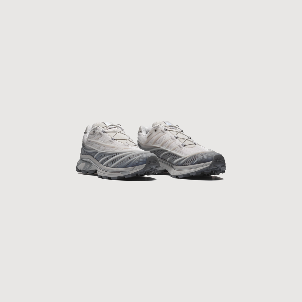 SALOMON - XT-EVO Alloy/Castlerock/Ftw Silver