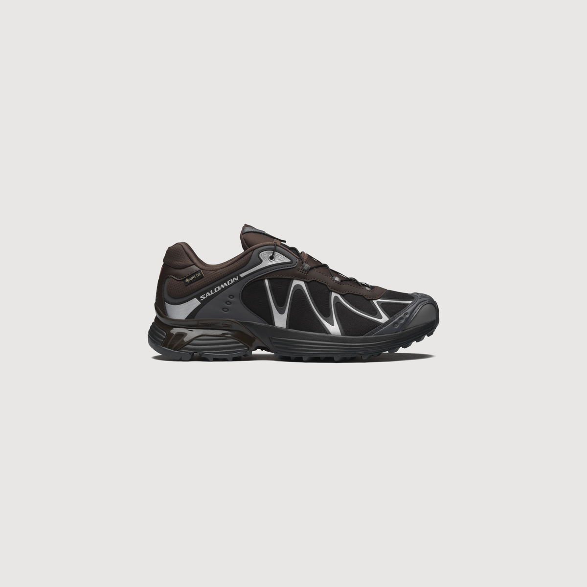 SALOMON - XT-WHISPER gore-tex Delicioso/Asphalt/Castlerock