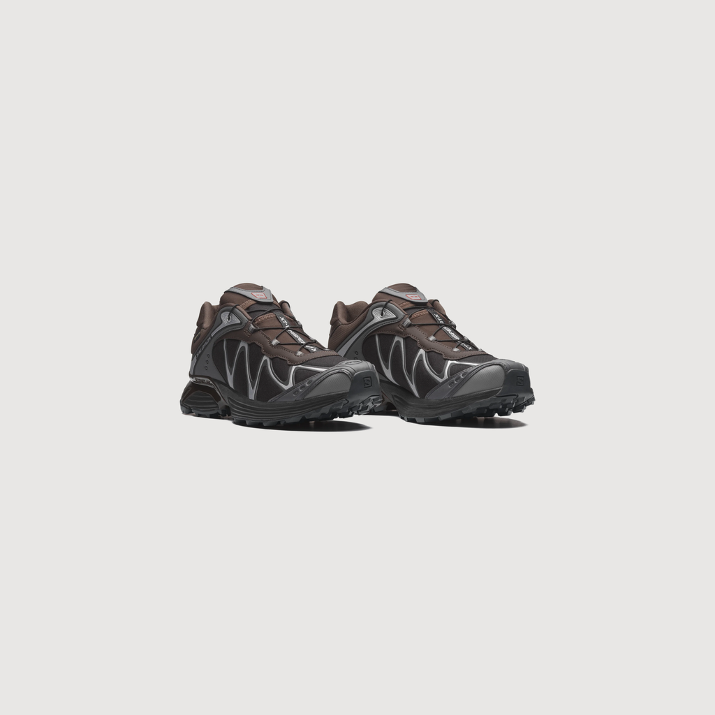 SALOMON - XT-WHISPER gore-tex Delicioso/Asphalt/Castlerock
