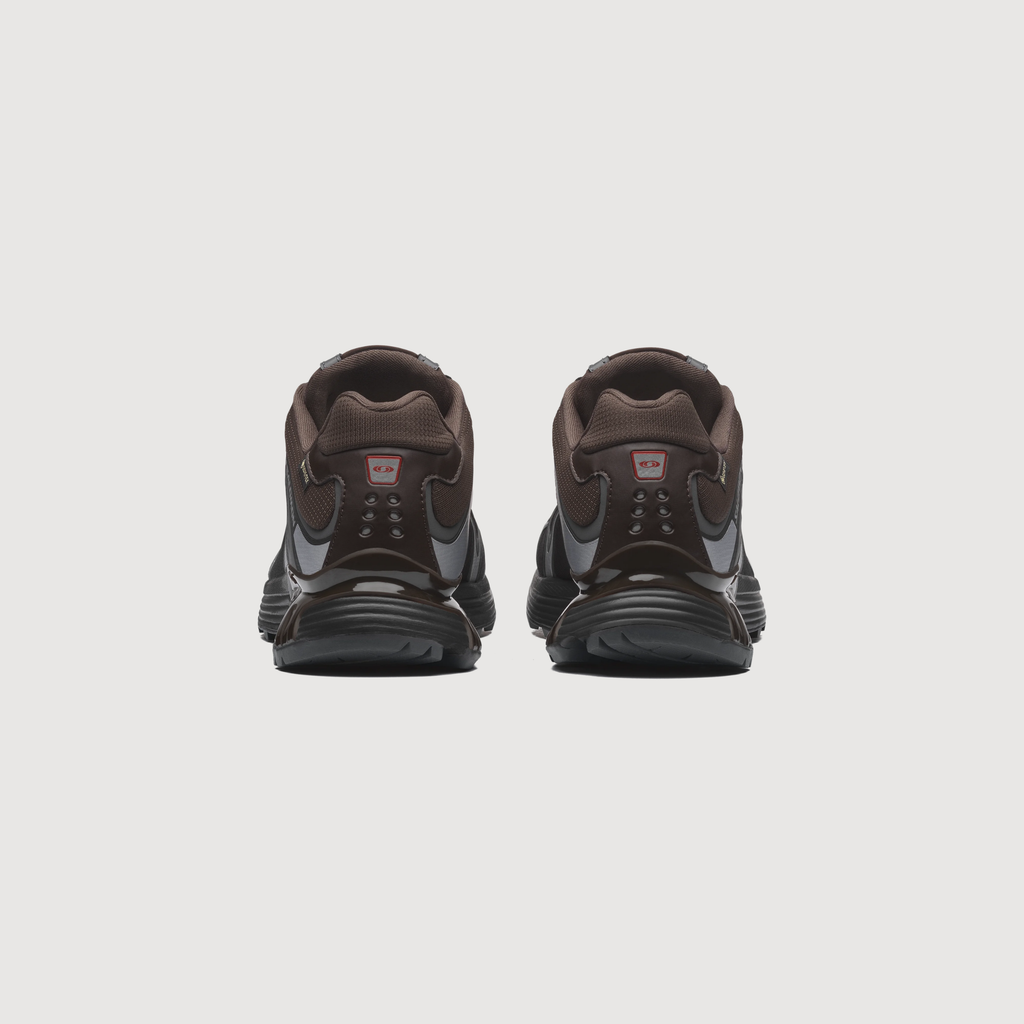 SALOMON - XT-WHISPER gore-tex Delicioso/Asphalt/Castlerock