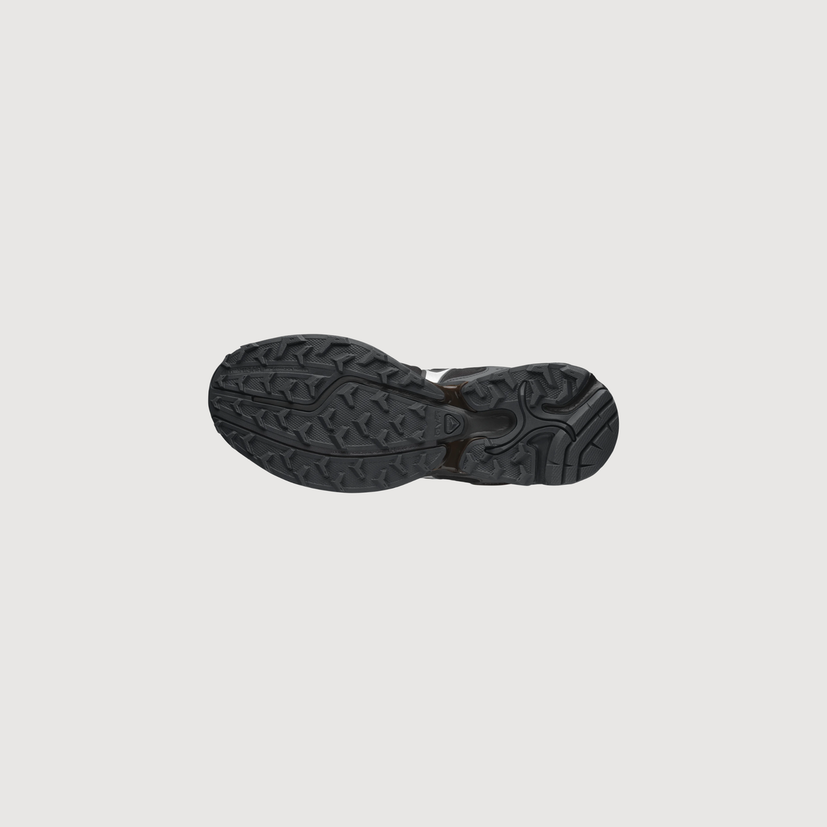 SALOMON - XT-WHISPER gore-tex Delicioso/Asphalt/Castlerock