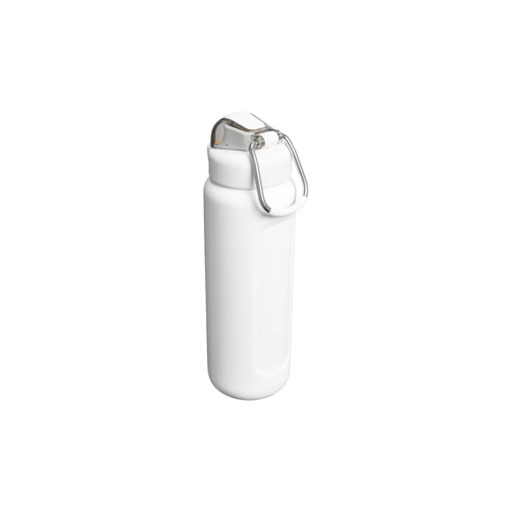 STANLEY -  Classic Wellspring Bottle | 0.71L Frost